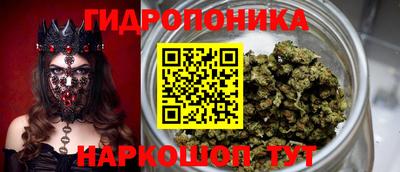 гашик Рязань