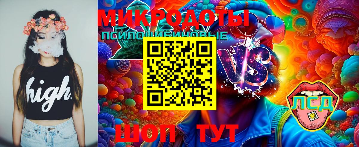 Галлюциногенные грибы прущие грибы  Галлюциногенные грибы GOLDEN TEACHER  Новый Уренгой  Вход с VPN 
